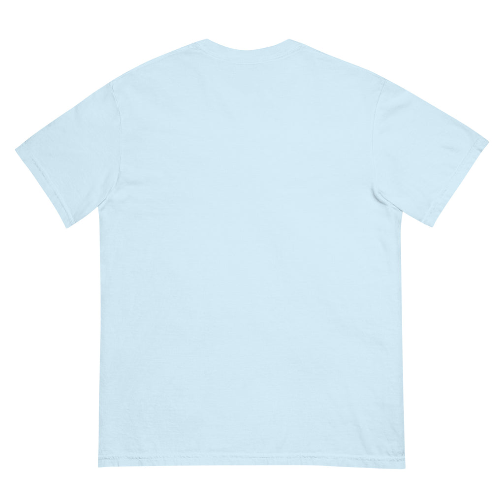Surf Moose Classic Tee in Chambray, back view