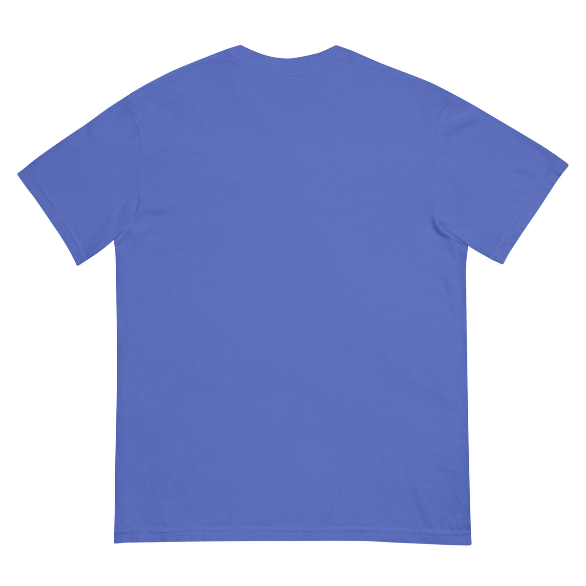 Surf Moose Classic Tee in Flo Blue, back view