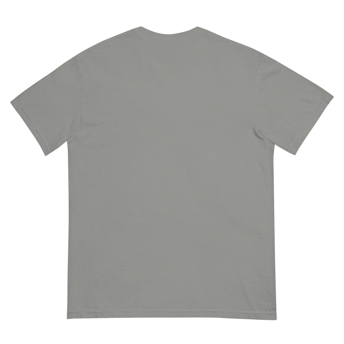 Surf Moose Classic Tee in Grey, back view
