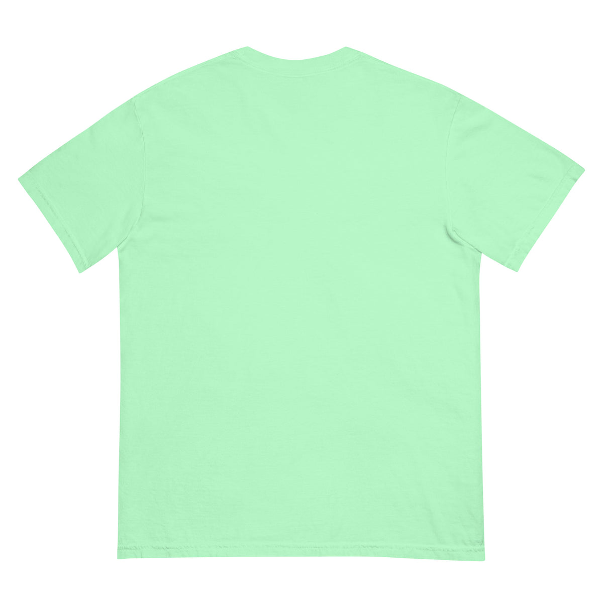 Surf Moose Classic Tee in Island Reef, back view
