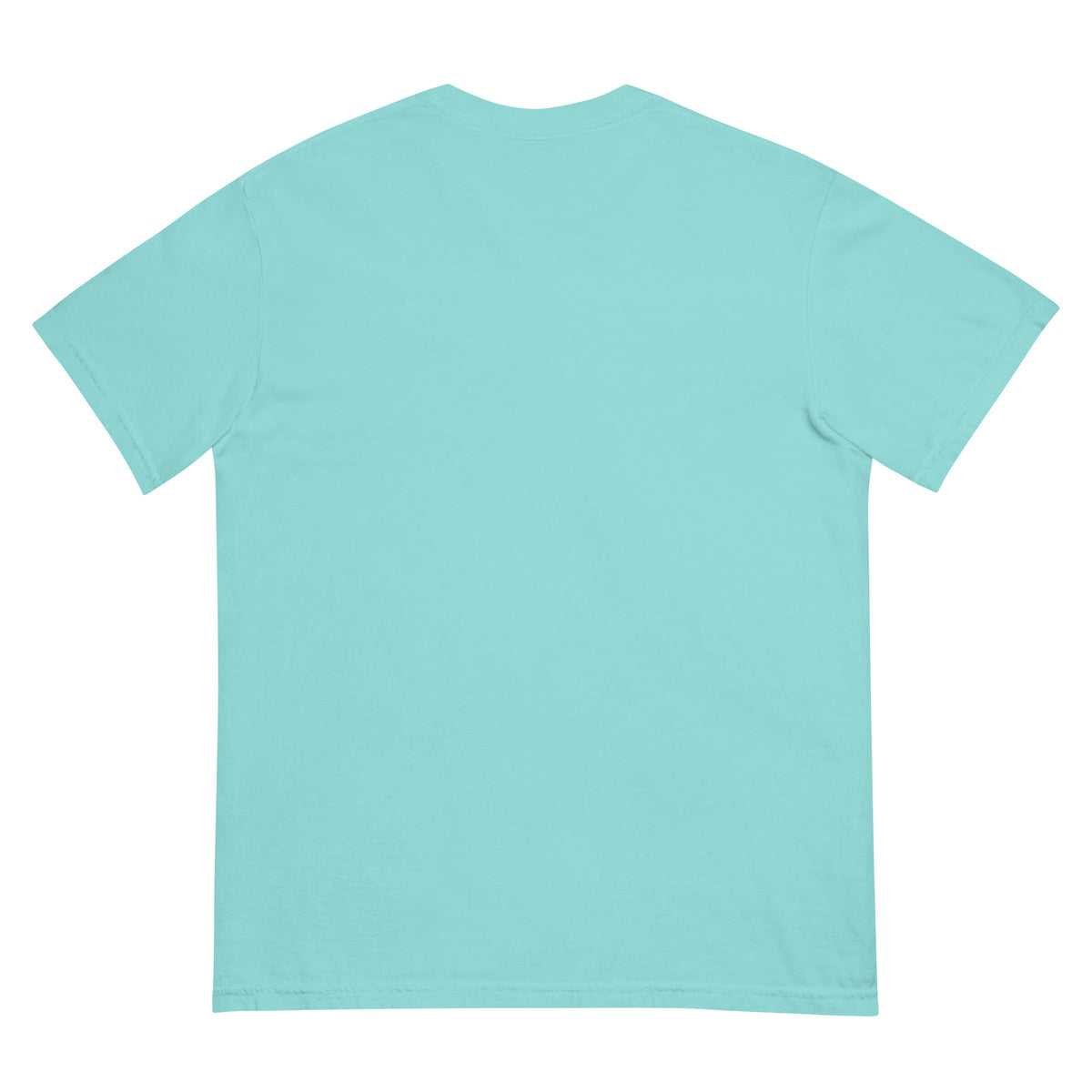 Surf Moose Classic Tee in Lagoon Blue, back view